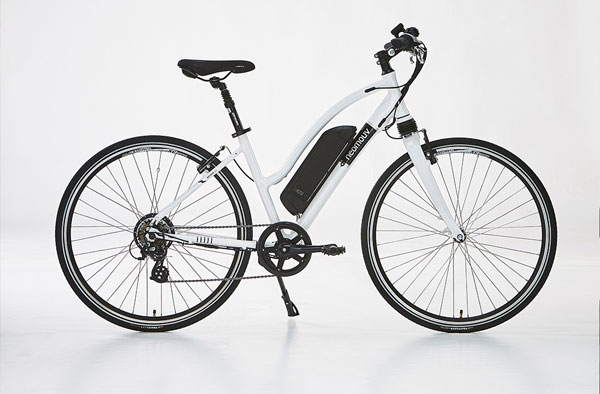 Electric bikes rental