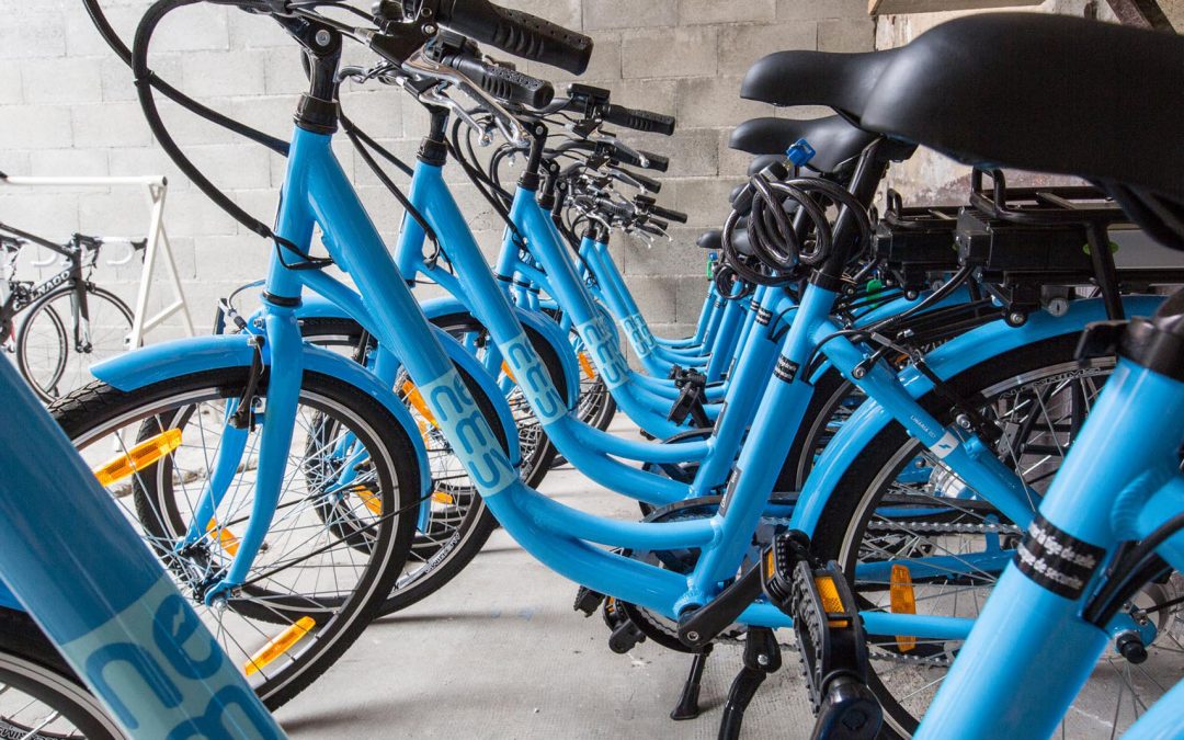 Rental bikes for sale