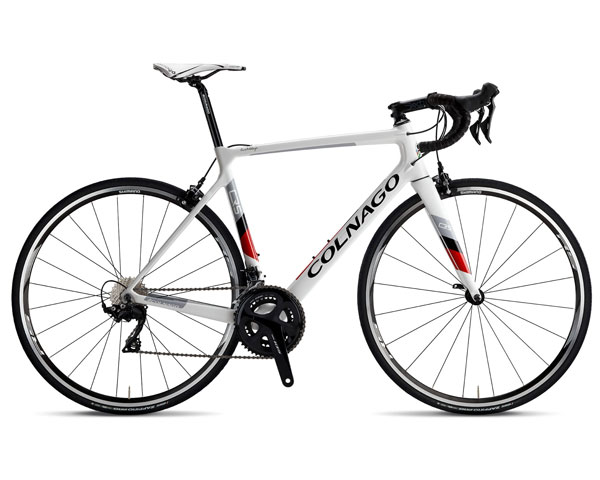 Colnago road bike rental